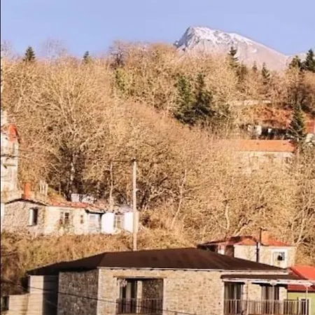 The Black Chestnut Feriehus *